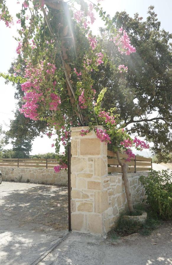 Studio Panagiota - Oasis Holiday Houses Kokkinos Pirgos Exteriér fotografie