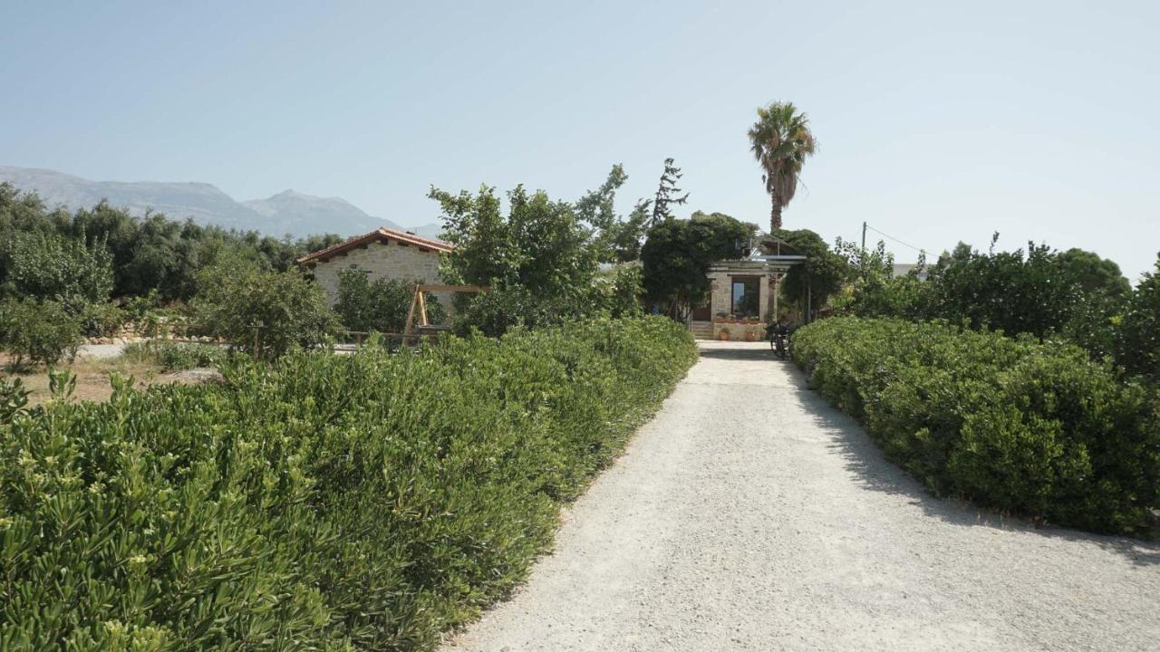 Studio Panagiota - Oasis Holiday Houses Kokkinos Pirgos Exteriér fotografie