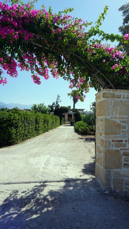 Studio Panagiota - Oasis Holiday Houses Kokkinos Pirgos Exteriér fotografie